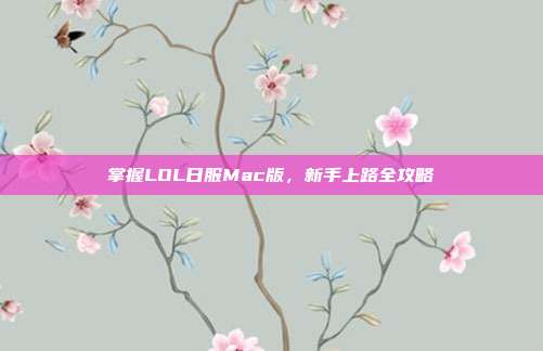 掌握LOL日服Mac版，新手上路全攻略