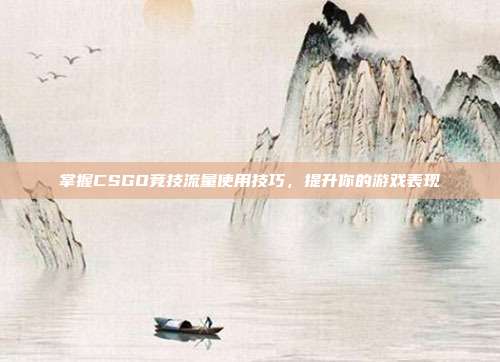 掌握CSGO竞技流量使用技巧,提升你的游戏表现