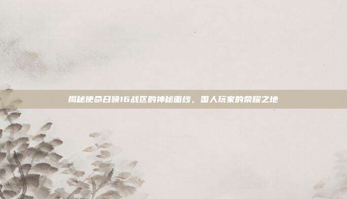 揭秘使命召唤16战区的神秘面纱,国人玩家的荣耀之地