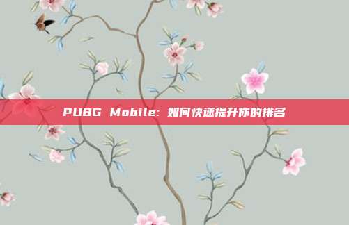 PUBG Mobile: 如何快速提升你的排名