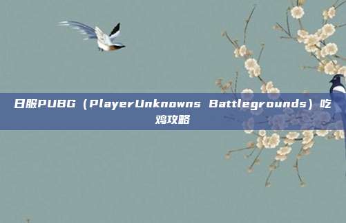 日服PUBG(PlayerUnknowns Battlegrounds)吃鸡攻略
