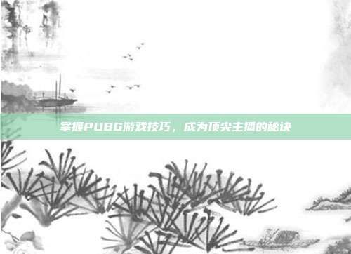 掌握PUBG游戏技巧,成为顶尖主播的秘诀