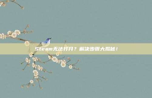 Steam无法打开?解决步骤大揭秘!