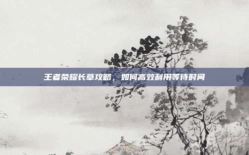 王者荣耀长草攻略,如何高效利用等待时间