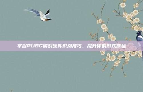 掌握PUBG游戏硬件识别技巧,提升你的游戏体验