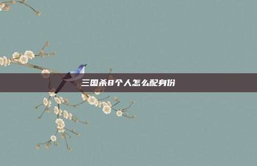 三国杀8个人怎么配身份