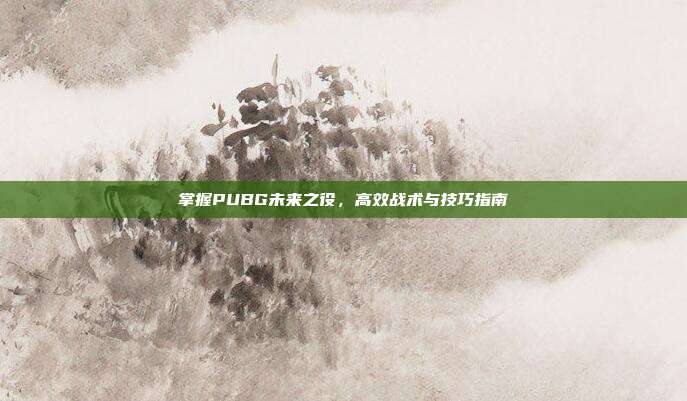 掌握PUBG未来之役,高效战术与技巧指南