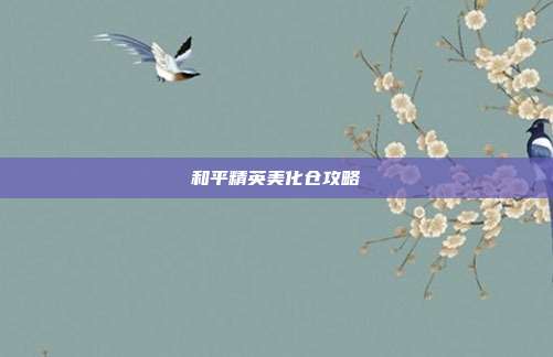 和平精英美化仓攻略