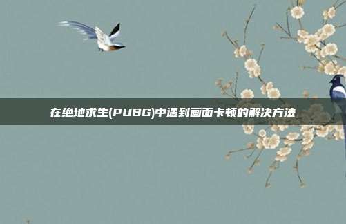 在绝地求生(PUBG)中遇到画面卡顿的解决方法