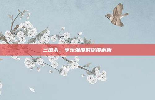 三国杀,享乐强度的深度解析
