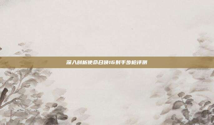 深入剖析使命召唤16射手步枪评测