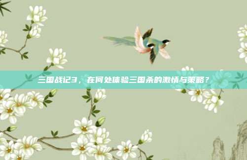 三国战记3,在何处体验三国杀的激情与策略?