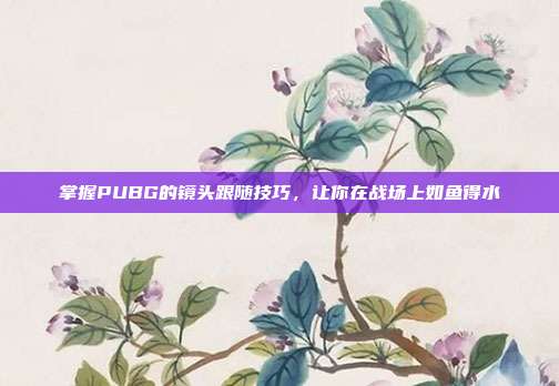 掌握PUBG的镜头跟随技巧,让你在战场上如鱼得水