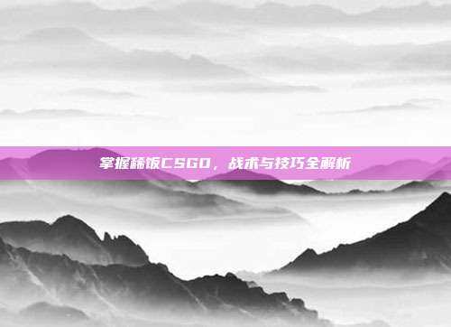 掌握稀饭CSGO,战术与技巧全解析