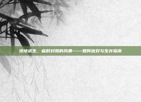 绝地求生,临时封禁的风暴——如何应对与生存指南