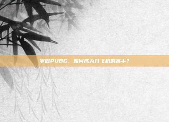 掌握PUBG,如何成为开飞机的高手?
