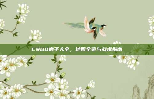 CSGO房子大全,地图全览与战术指南