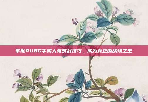 掌握PUBG手游人机对战技巧,成为真正的战场之王