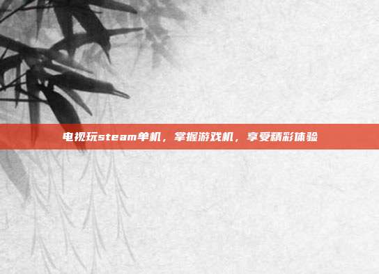 电视玩steam单机,掌握游戏机,享受精彩体验