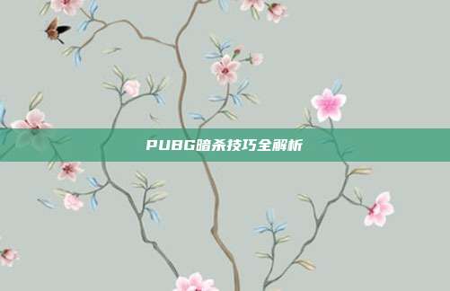 PUBG暗杀技巧全解析