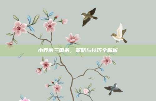 小乔的三国杀,策略与技巧全解析