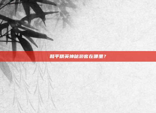 和平精英神秘游客在哪里?