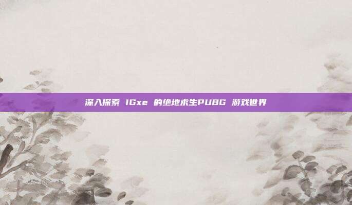 深入探索 IGxe 的绝地求生PUBG 游戏世界