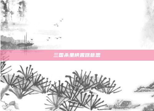 三国杀里横置啥意思