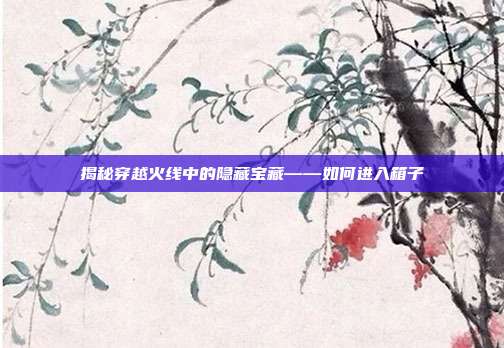 揭秘穿越火线中的隐藏宝藏——如何进入箱子