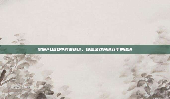 掌握PUBG中的说话键,提高游戏沟通效率的秘诀