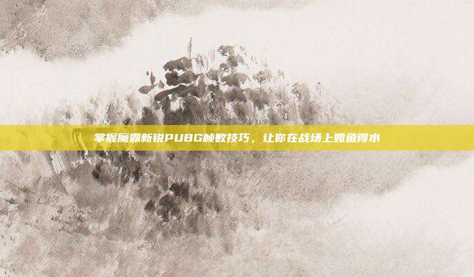 掌握魔霸新锐PUBG帧数技巧,让你在战场上如鱼得水