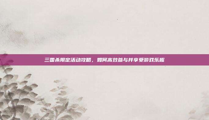 三国杀限定活动攻略,如何高效参与并享受游戏乐趣