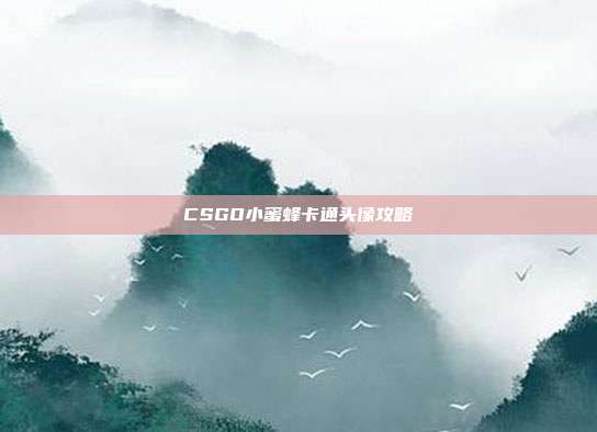 CSGO小蜜蜂卡通头像攻略