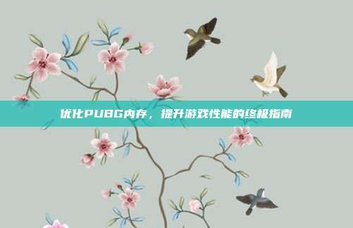 优化PUBG内存,提升游戏性能的终极指南