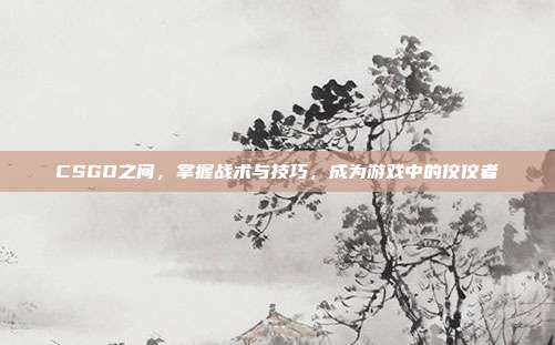 CSGO之间,掌握战术与技巧,成为游戏中的佼佼者