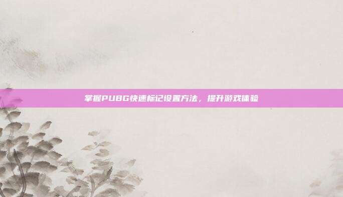 掌握PUBG快速标记设置方法,提升游戏体验