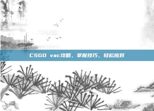 CSGO vac攻略，掌握技巧，轻松应对