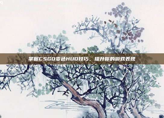 掌握CSGO变色HUD技巧，提升你的游戏表现
