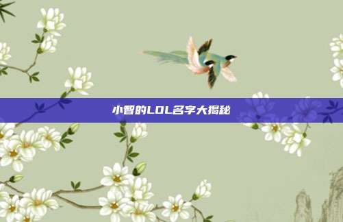 小智的LOL名字大揭秘