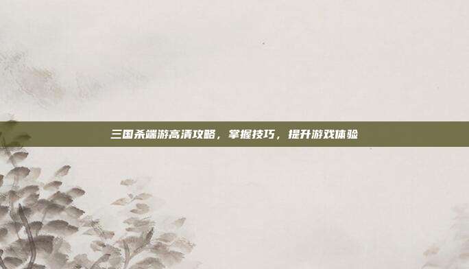 三国杀端游高清攻略,掌握技巧,提升游戏体验