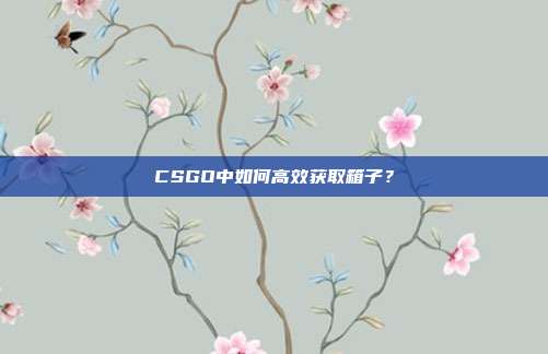 CSGO中如何高效获取箱子?