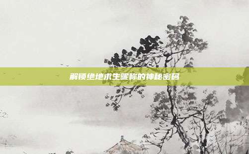 解锁绝地求生昵称的神秘密码