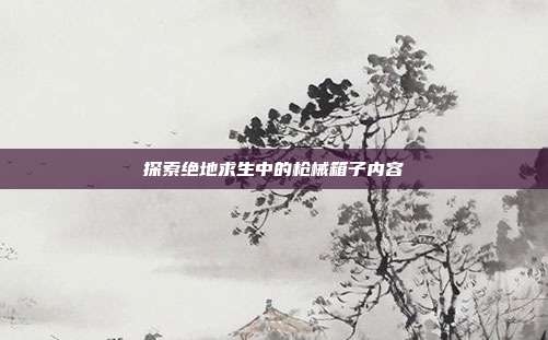 探索绝地求生中的枪械箱子内容