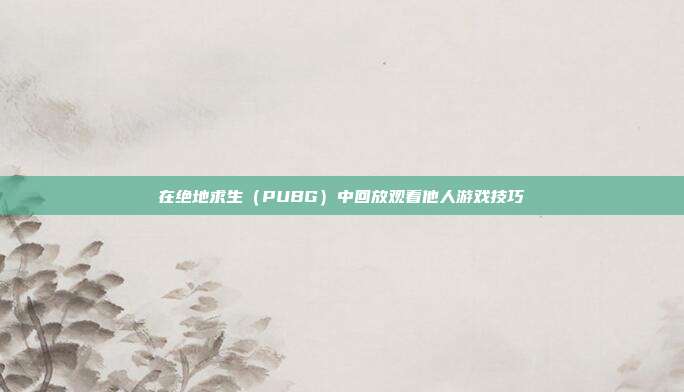 在绝地求生(PUBG)中回放观看他人游戏技巧