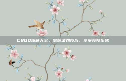 CSGO趣味大全,掌握游戏技巧,享受竞技乐趣