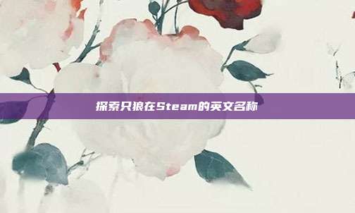 探索只狼在Steam的英文名称