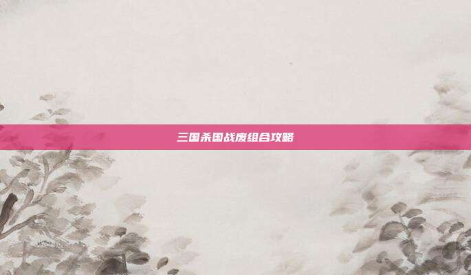 三国杀国战废组合攻略