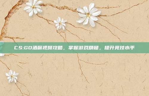 CS:GO酒席视频攻略,掌握游戏精髓,提升竞技水平