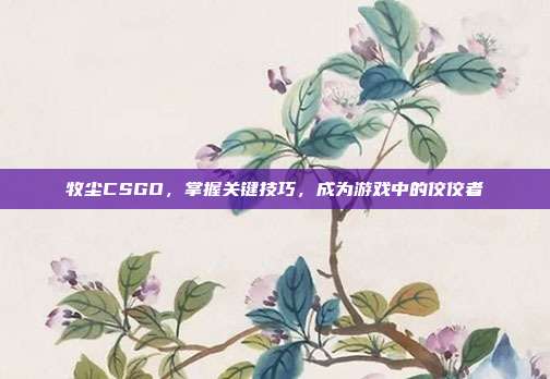 牧尘CSGO,掌握关键技巧,成为游戏中的佼佼者