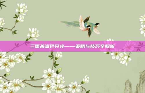 三国杀嘴巴开光——策略与技巧全解析